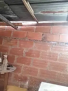 hoteder online show from March 23, 12:27 pm