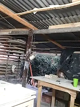 hoteder online show from March 17, 11:13 am