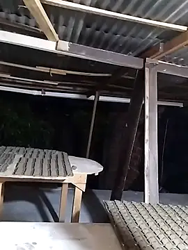 hoteder online show from November 24, 11:16 pm