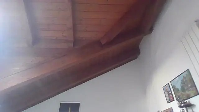 Snapshot of LadySophia03 chatting on January 10, 11:05 am LadySophia03 online show from January 10, 11:05 am