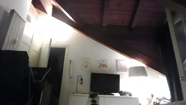 Snapshot of LadySophia03 chatting on December 1, 4:30 pm LadySophia03 online show from December 1, 4:30 pm