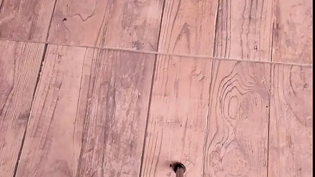 Snapshot of ZYZZ1312 chatting on December 19, 9:06 pm ZYZZ1312 online show from December 19, 9:06 pm