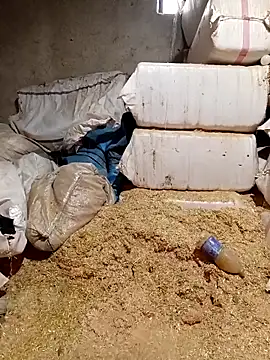 ezgi2545 online show from April 2, 10:44 am