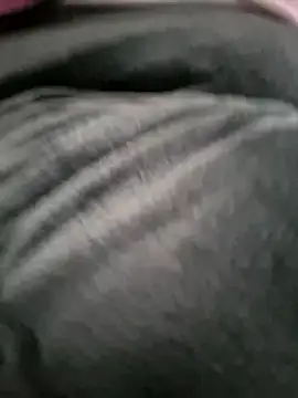 Snapshot of Monella52 chatting on February 25, 2:28 pm Monella52 online show from February 25, 2:28 pm