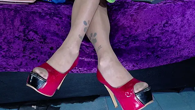 EvaSabath online show from November 14, 5:05 pm