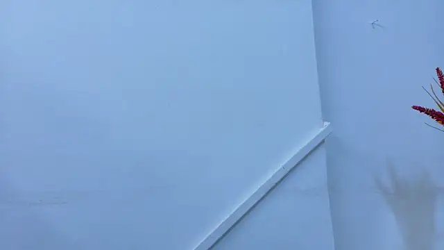 Snapshot of Lizbeth_Rouse chatting on November 6, 11:25 am Lizbeth Rouse online show from November 6, 11:25 am