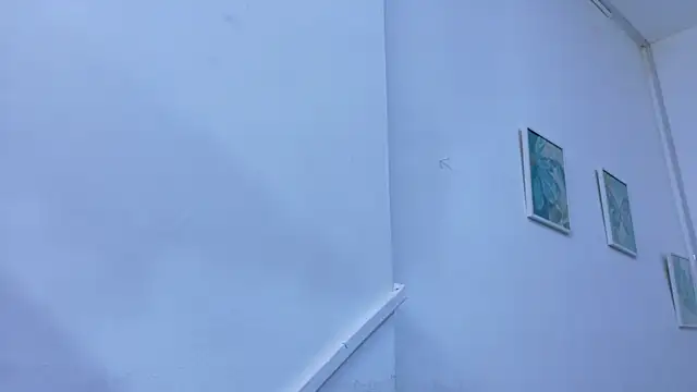 Snapshot of Lizbeth_Rouse chatting on November 10, 11:37 am Lizbeth Rouse online show from November 10, 11:37 am