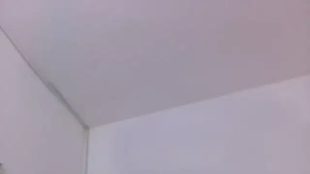 Snapshot of Lizbeth_Rouse chatting on November 30, 6:30 pm Lizbeth Rouse online show from November 30, 6:30 pm