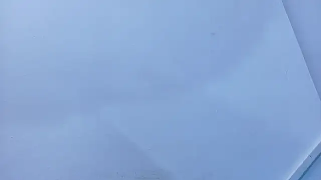 Snapshot of Lizbeth_Rouse chatting on November 9, 11:14 am Lizbeth Rouse online show from November 9, 11:14 am