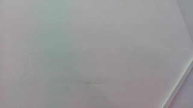 Snapshot of Lizbeth_Rouse chatting on November 21, 11:31 am Lizbeth Rouse online show from November 21, 11:31 am