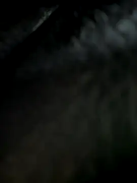  JessyRey  online show from September 11, 6:46 am