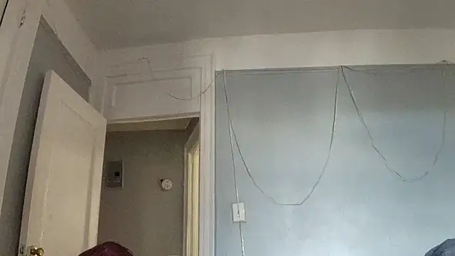 puddled wonderland online show from October 24, 6:40 pm