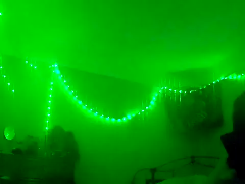 puddled wonderland online show from November 30, 8:48 am