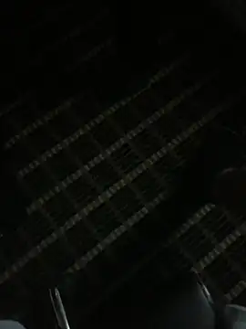 Dallasbest214 online show from February 7, 1:52 pm