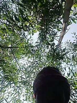 96Rohon online show from March 27, 6:22 am