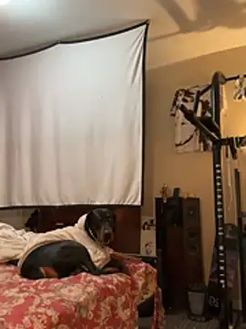 Snapshot of KeYBuMp323 chatting on February 13, 4:56 am KeYBuMp323 online show from February 13, 4:56 am