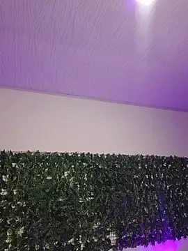 BellaRoux1 online show from February 26, 11:54 am