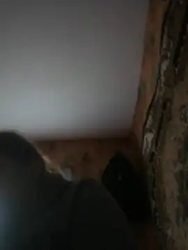 Romashka33011 online show from March 31, 8:16 am