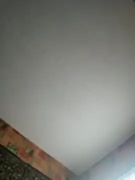 Romashka33011 online show from October 29, 11:20 am