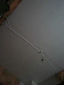 Romashka33011 online show from November 6, 8:18 am