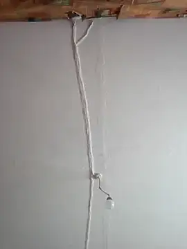 Romashka33011 online show from February 24, 9:32 am