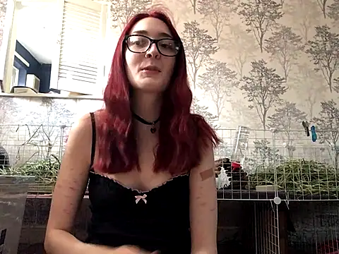 Snapshot of ivysplayhouse chatting on September 10, 11:09 am ivysplayhouse online show from September 10, 11:09 am