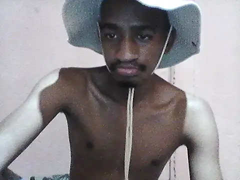 gemini loops online show from April 21, 12:34 pm