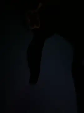 AriaBliss- online show from February 13, 12:54 am