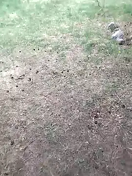Snapshot of HardCouple33 chatting on May 10, 9:24 am HardCouple33 online show from May 10, 9:24 am
