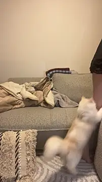 misa mo online show from April 10, 1:07 pm