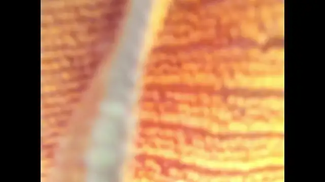 Goddes any online show from October 27, 11:38 pm