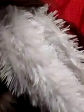 Babe Doll04 online show from January 7, 7:57 am