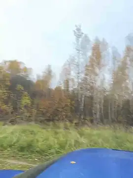 Oksiandfray online show from October 10, 1:56 pm