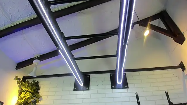 ItaloMoore online show from November 6, 11:25 am