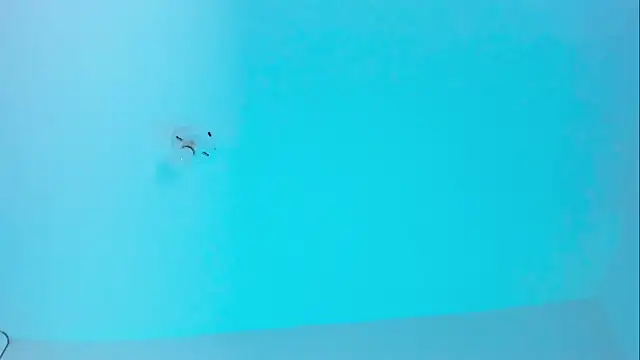 Ellope  online show from November 19, 9:59 pm