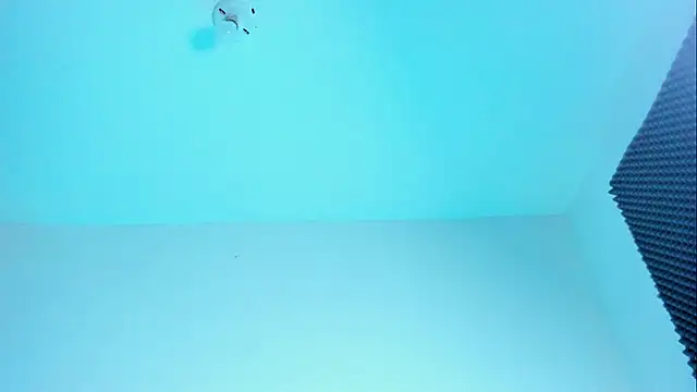 Ellope  online show from October 21, 11:15 pm