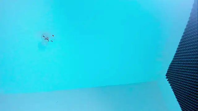 Im naho online show from October 22, 11:03 pm