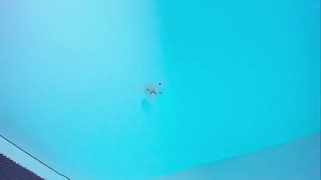 Im naho online show from November 14, 10:02 pm