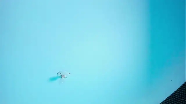 Im naho online show from March 30, 10:00 pm