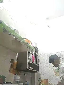 NoxiousFilename online show from October 12, 2:29 pm