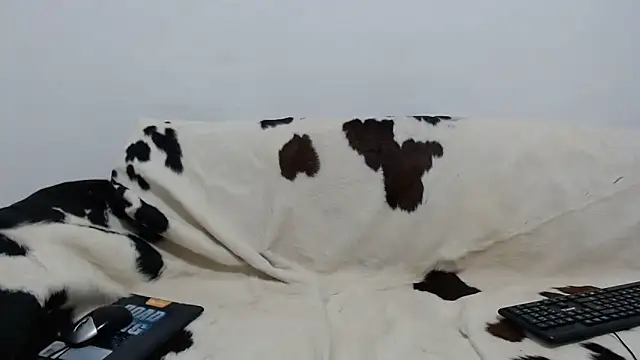 Dan jonson15 online show from November 26, 5:51 am