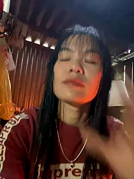 PhanHaa online show from November 26, 8:36 am