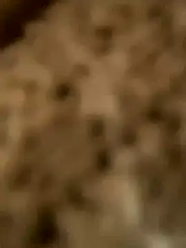 PhanHaa online show from November 18, 1:54 am