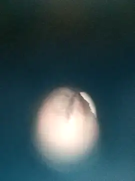 Sonya51561 online show from December 19, 3:36 pm