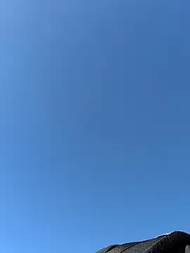 Snapshot of Ole_Plus chatting on February 12, 11:43 am Ole Plus online show from February 12, 11:43 am