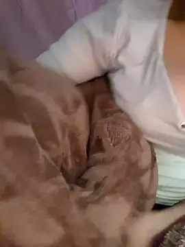 Nana-bar online show from November 24, 3:01 pm