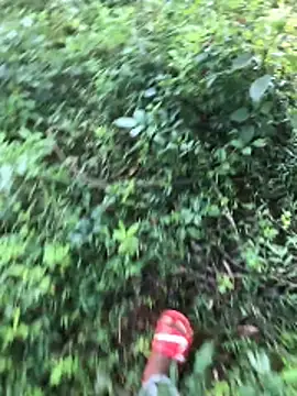 kavi1q1 online show from January 17, 4:38 am