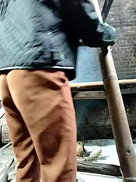 Sinejdk3 online show from October 24, 8:13 am