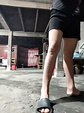 Sinejdk3 online show from November 4, 11:25 am