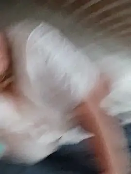 Kiss Eva online show from December 14, 11:49 am